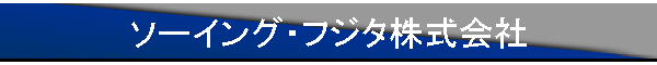 �\�[�C���O�E�t�W�^�������